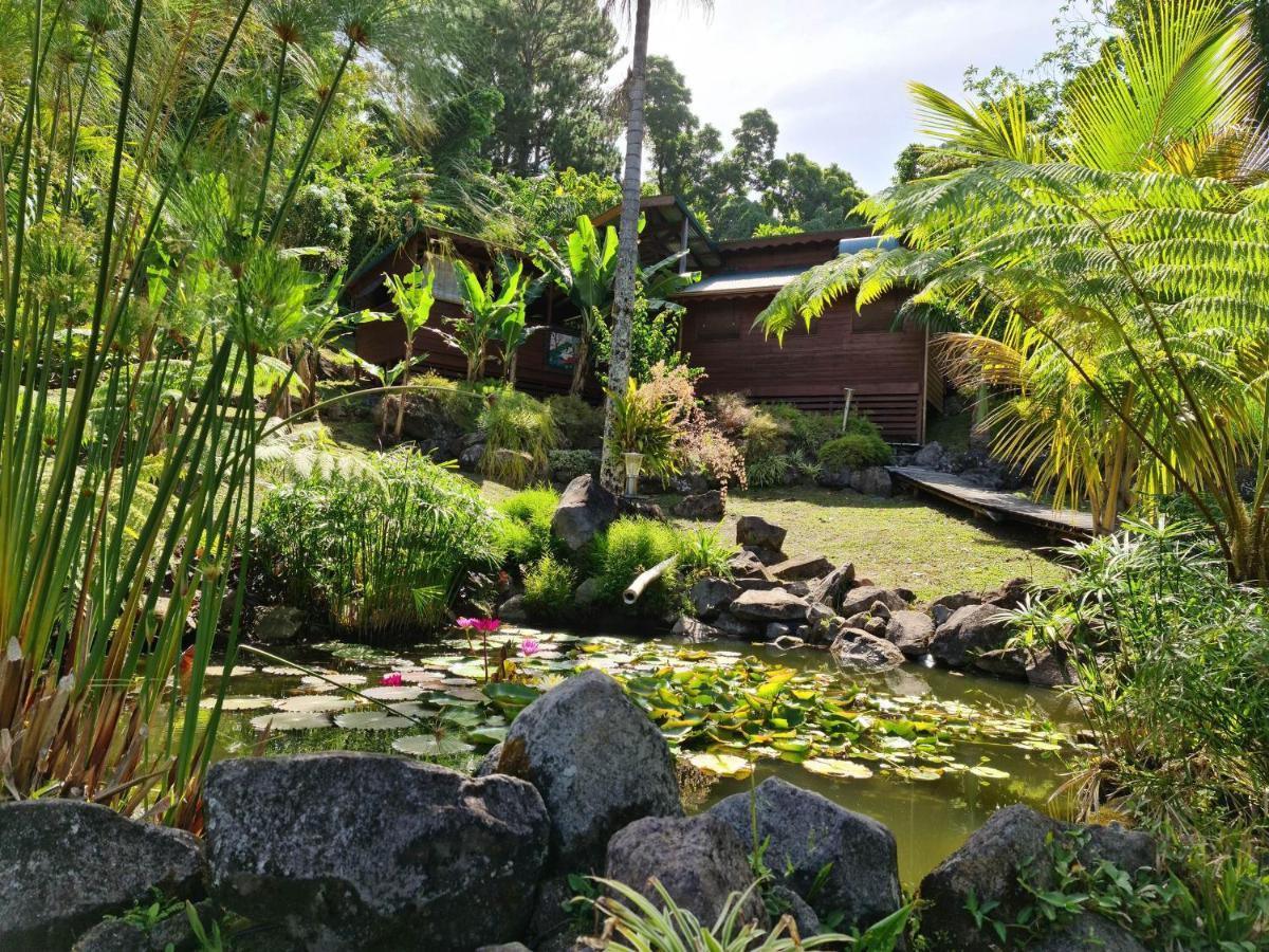 Les Bananes Vertes Lodge Saint-Claude