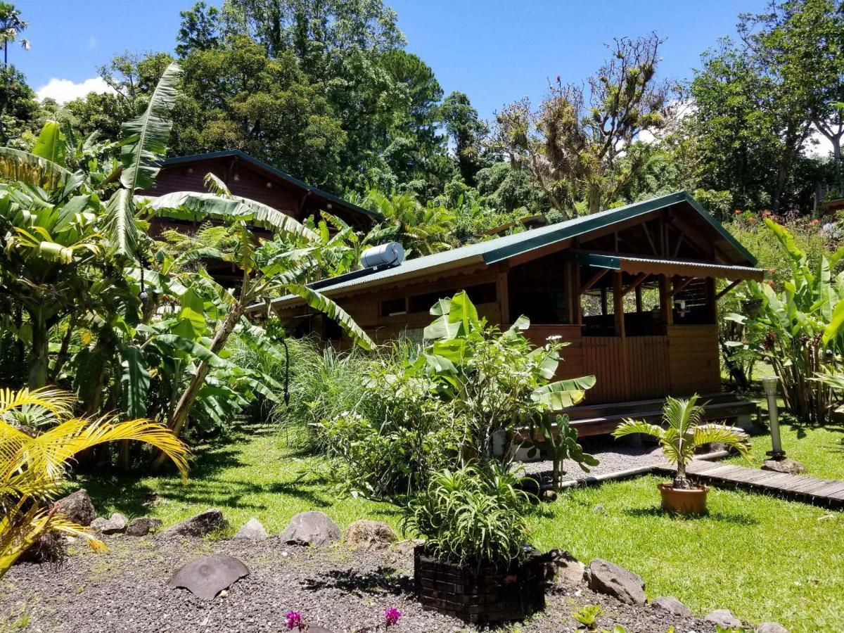 Lodge Les Bananes Vertes *