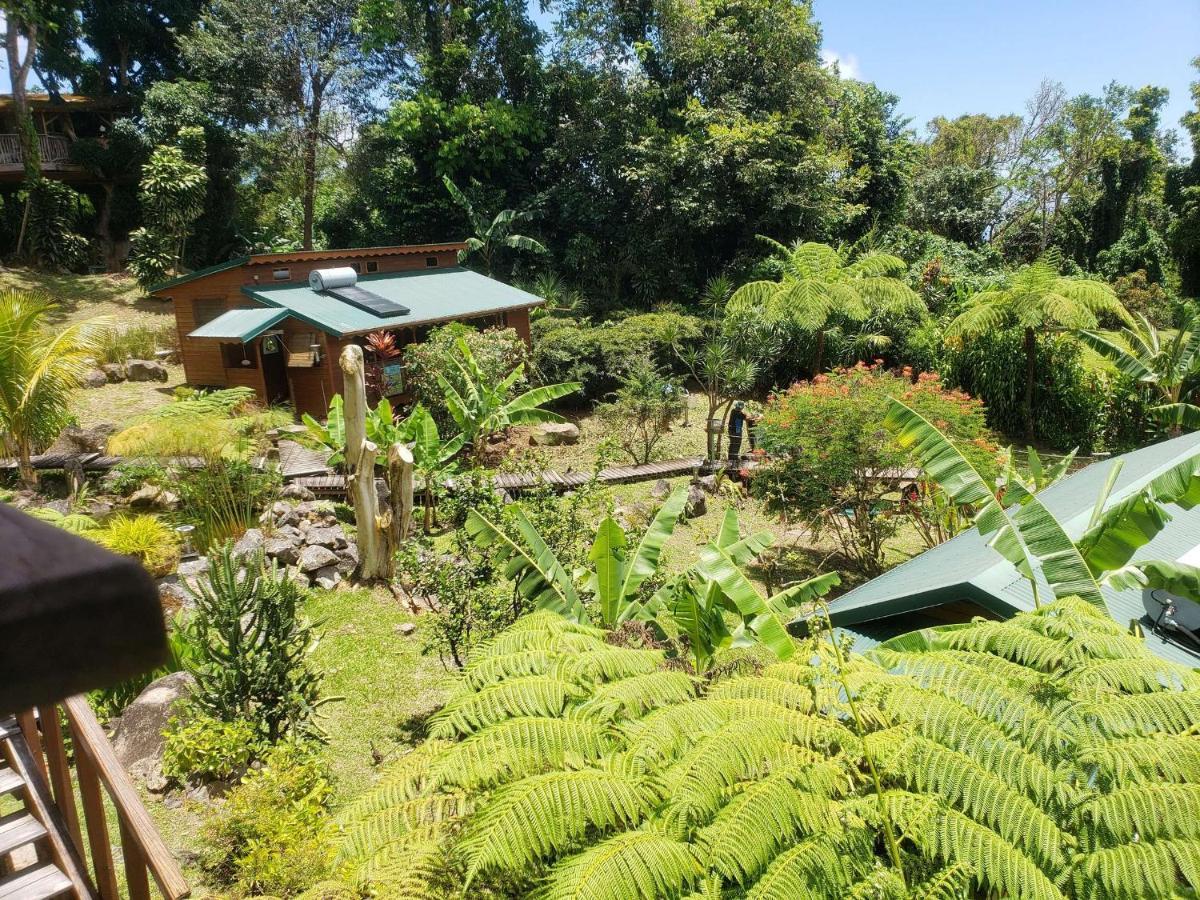 Les Bananes Vertes Lodge *