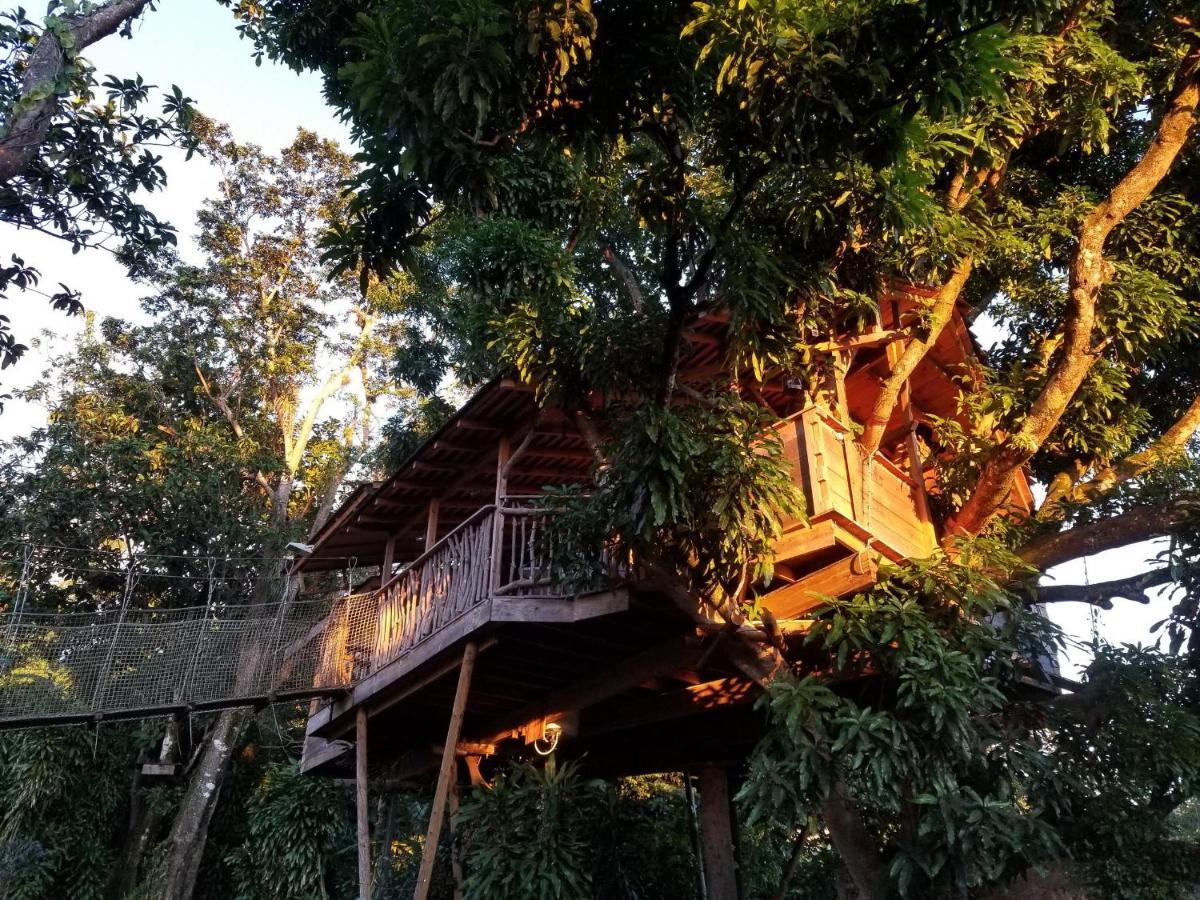 Lodge Les Bananes Vertes Saint-Claude