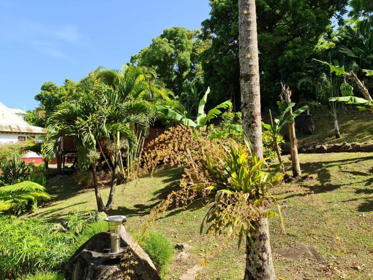 Les Bananes Vertes Lodge Saint-Claude