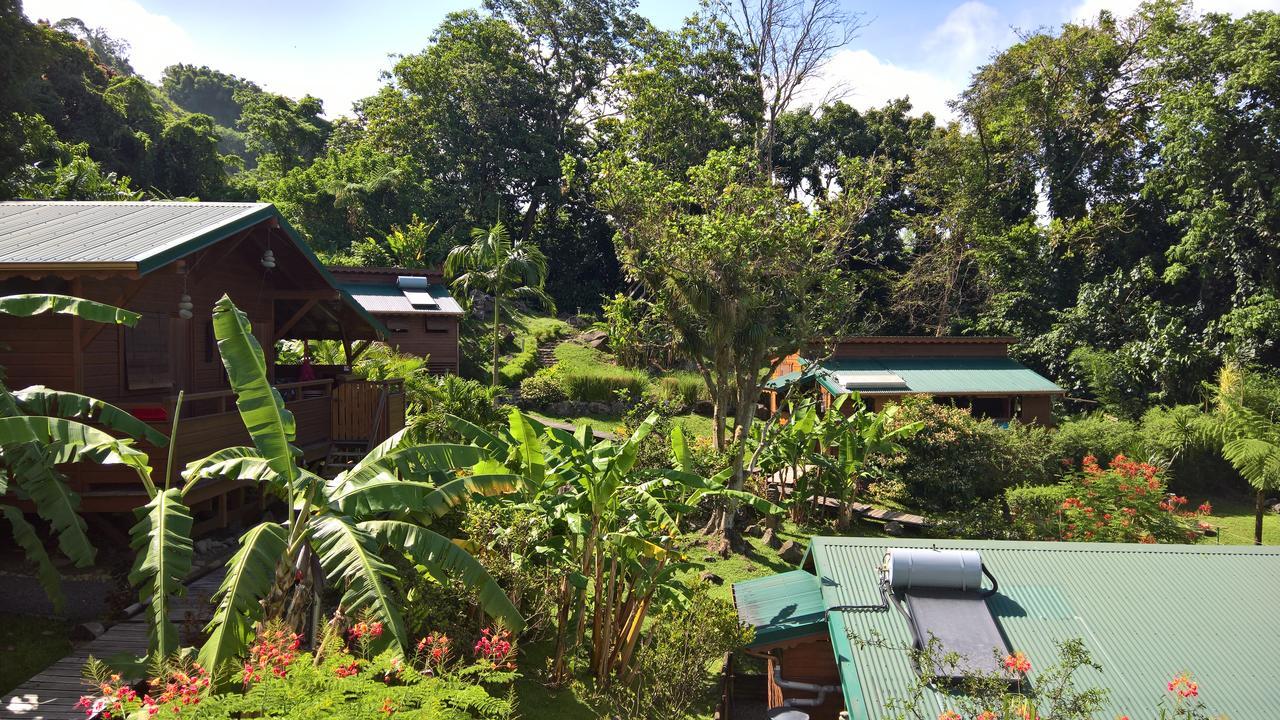 Lodge Les Bananes Vertes Saint-Claude